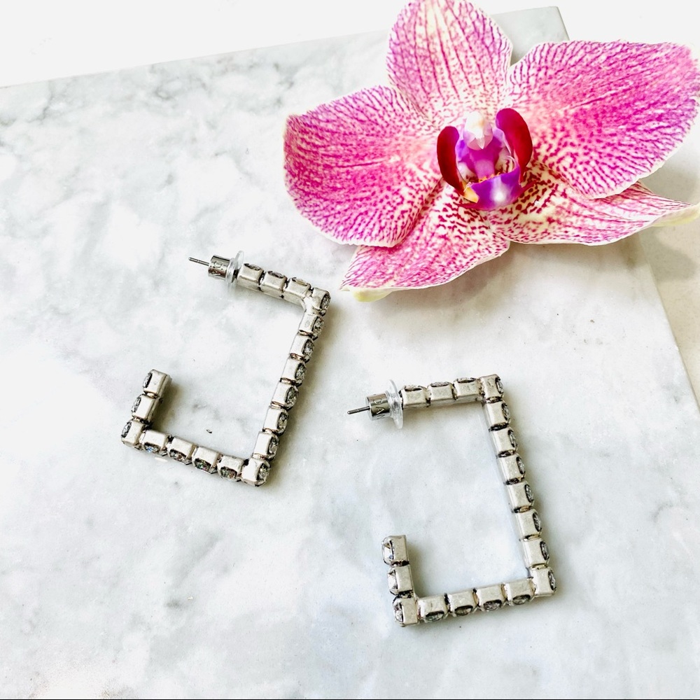 DANNIJO Archer Silverplated & Swarovski Crystal Hoop Earrings NWT - Picture 10 of 17